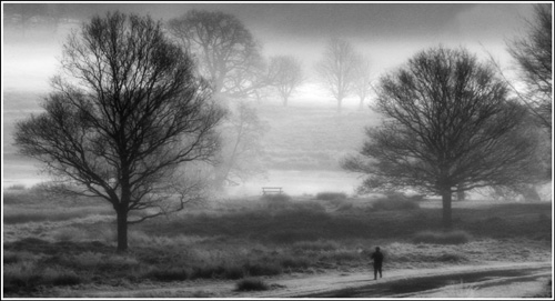 Richmond Park